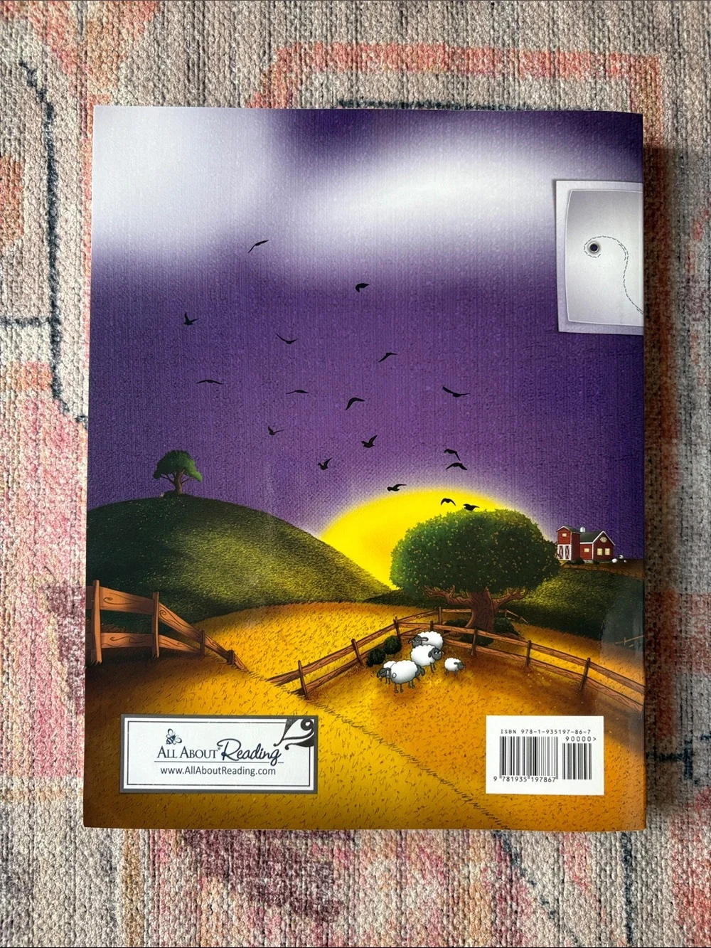 NEW All About Reading Level 4 Activity Book Color Ed Homeschool Curriculum